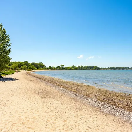 Classic Muschel A8 Gramkow