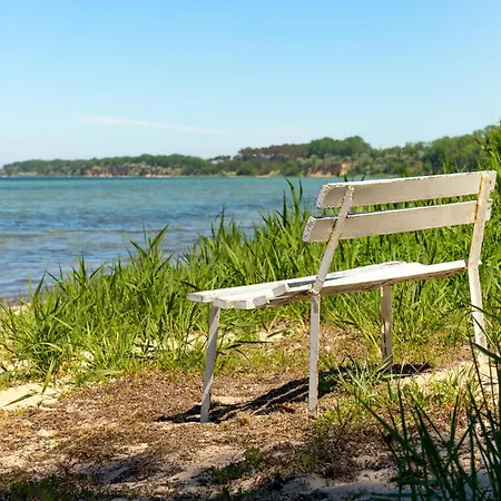 Classic Muschel A8 * Gramkow